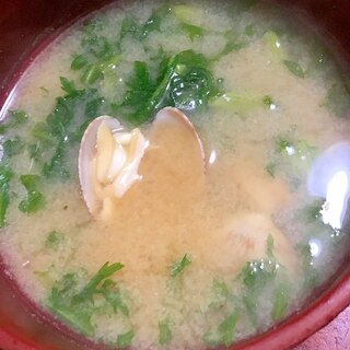 春菊とアサリの酒粕入り味噌汁。